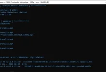 Renderer H265+ Update